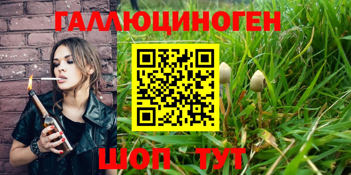 Зерноград  Псилоцибиновые грибы мицелий  Вход с VPN 